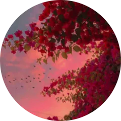 author-avatar
