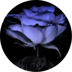 author-avatar